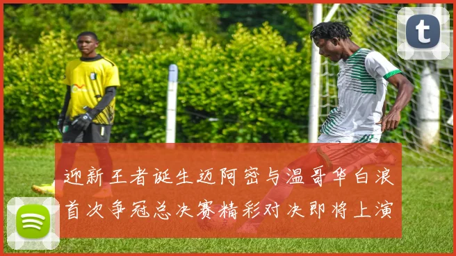 迎新王者诞生迈阿密与温哥华白浪首次争冠总决赛精彩对决即将上演