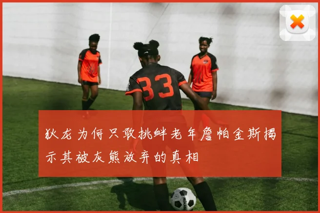 狄龙为何只敢挑衅老年詹帕金斯揭示其被灰熊放弃的真相